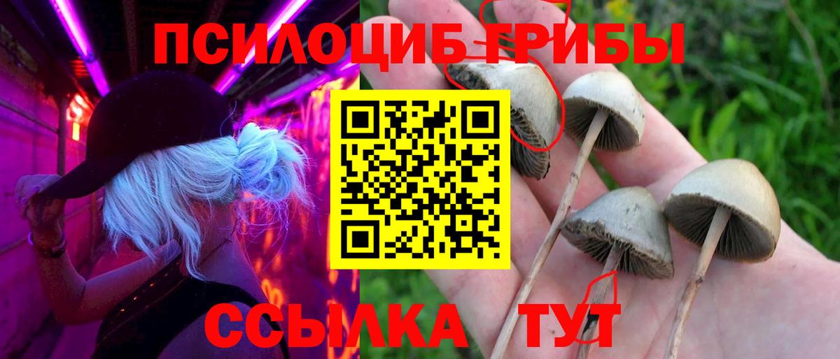 Псилоцибиновые грибы мицелий Симферополь